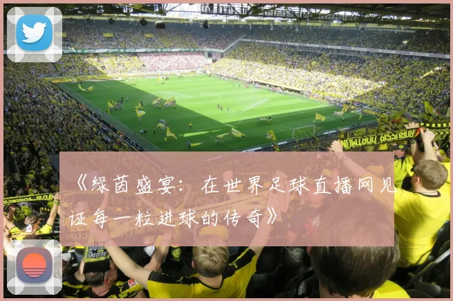 《绿茵盛宴:在世界足球直播网见证每一粒进球的传奇》