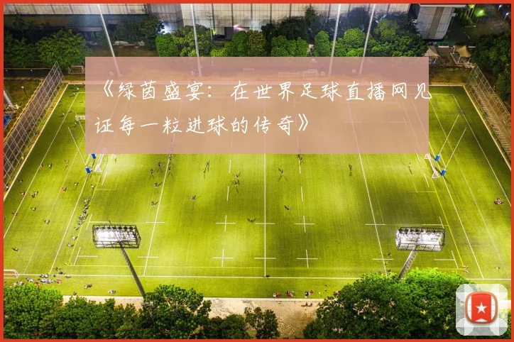 《绿茵盛宴：在世界足球直播网见证每一粒进球的传奇》